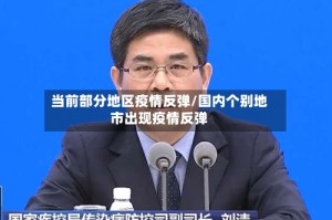 当前部分地区疫情反弹/国内个别地市出现疫情反弹