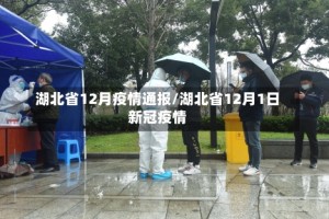 湖北省12月疫情通报/湖北省12月1日新冠疫情