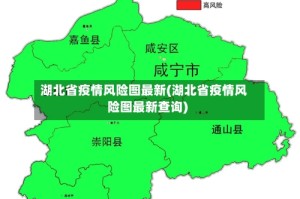 湖北省疫情风险图最新(湖北省疫情风险图最新查询)