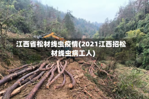 江西省松材线虫疫情(2021江西招松材线虫病工人)