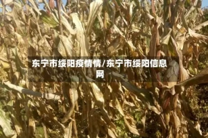 东宁市绥阳疫情情/东宁市绥阳信息网