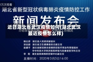 近日湖北省武汉疫情如何(湖北武汉最近疫情怎么样)