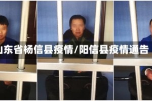 山东省杨信县疫情/阳信县疫情通告