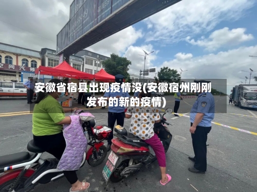 安徽省宿县出现疫情没(安徽宿州刚刚发布的新的疫情)-第1张图片