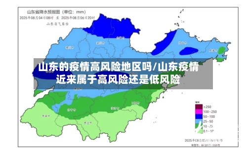 山东的疫情高风险地区吗/山东疫情近来属于高风险还是低风险-第1张图片