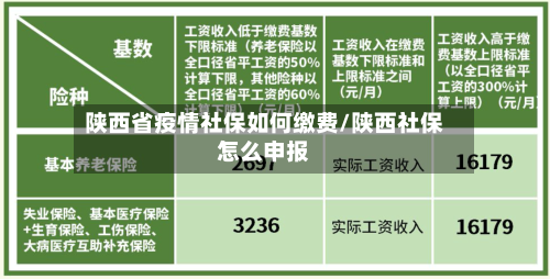 陕西省疫情社保如何缴费/陕西社保怎么申报-第2张图片