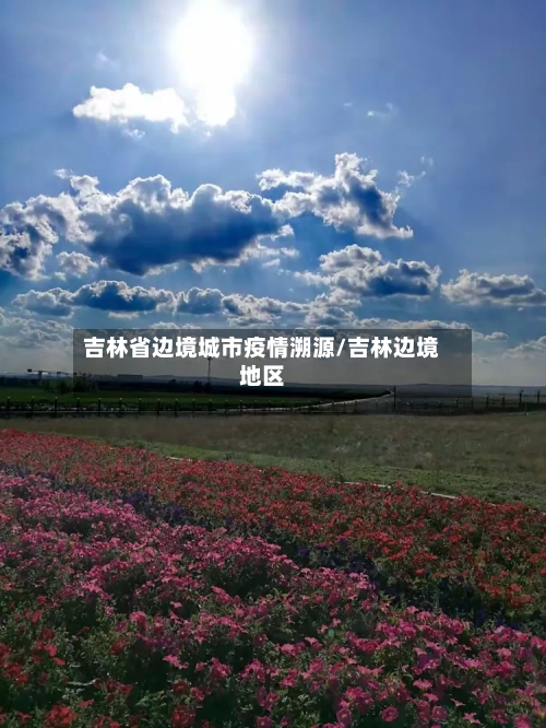 吉林省边境城市疫情溯源/吉林边境地区-第1张图片