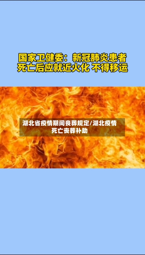 湖北省疫情期间丧葬规定/湖北疫情死亡丧葬补助-第1张图片