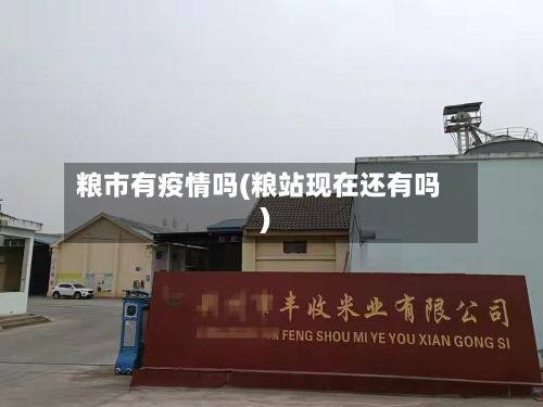粮市有疫情吗(粮站现在还有吗)-第1张图片