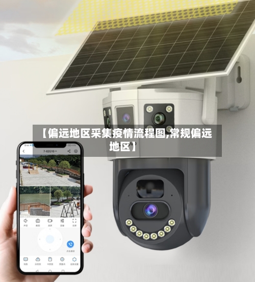 【偏远地区采集疫情流程图,常规偏远地区】-第1张图片