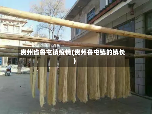 贵州省鲁屯镇疫情(贵州鲁屯镇的镇长)-第2张图片