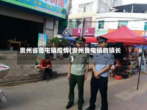 贵州省鲁屯镇疫情(贵州鲁屯镇的镇长)-第3张图片