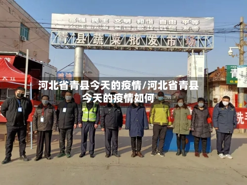 河北省青县今天的疫情/河北省青县今天的疫情如何-第2张图片