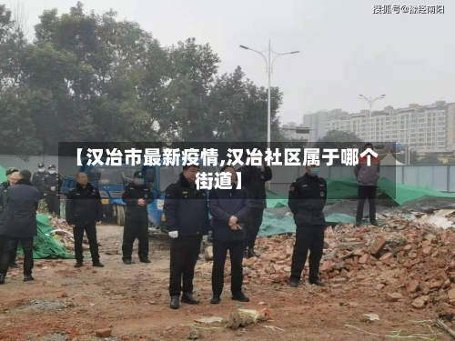 【汉冶市最新疫情,汉冶社区属于哪个街道】-第2张图片