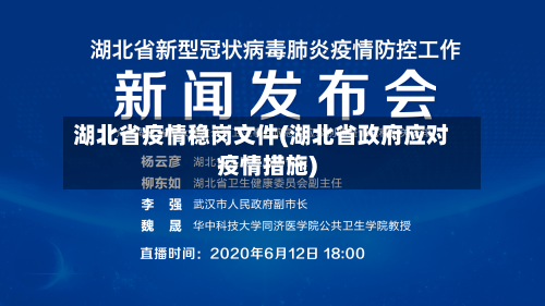 湖北省疫情稳岗文件(湖北省政府应对疫情措施)-第3张图片