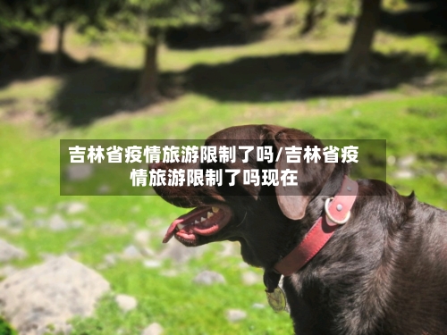 吉林省疫情旅游限制了吗/吉林省疫情旅游限制了吗现在-第1张图片