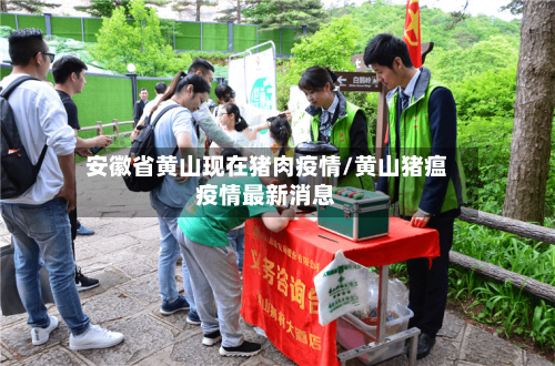 安徽省黄山现在猪肉疫情/黄山猪瘟疫情最新消息-第1张图片