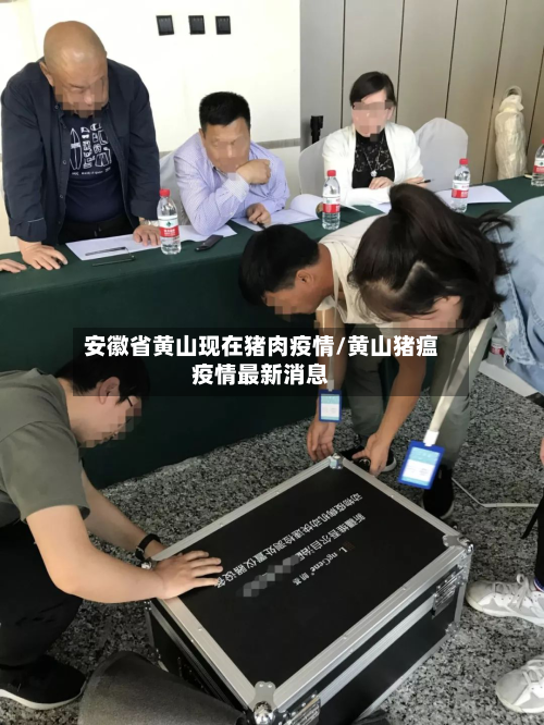 安徽省黄山现在猪肉疫情/黄山猪瘟疫情最新消息-第2张图片