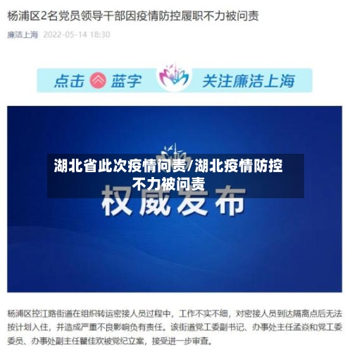 湖北省此次疫情问责/湖北疫情防控不力被问责-第1张图片