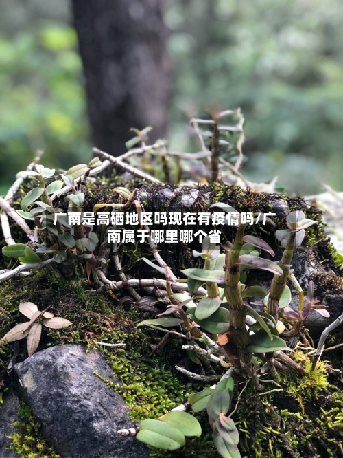 广南是高硒地区吗现在有疫情吗/广南属于哪里哪个省-第1张图片